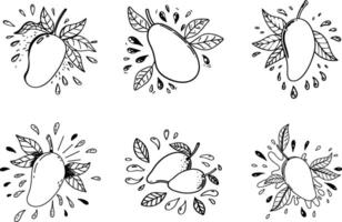 Hand drawn mango fruits illustration with leaves and water drops seamless pattern vector