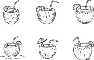 Set of coconut drinks with straw and citrus slices in doodle style vector