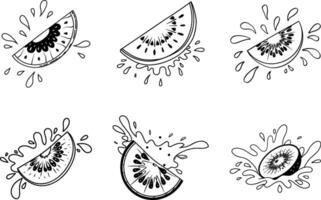 Hand drawn kiwi slices with splash illustration isolated on white background vector