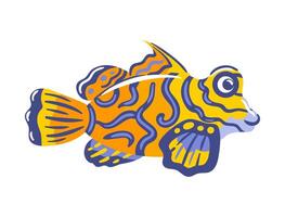illustration features a stunning mandarinfish, showcasing its brilliant colors and intricate patterns. With its lively design and detailed scales, it captures the vibrant essence of ocean life. vector