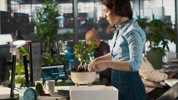 Upset worker in office packing desk plants on last day at work after quitting, saying goodbye to colleague. Employee getting fired from job during layoffs, saddening coworkers, camera A video