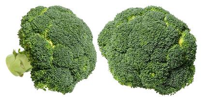 Fresh green broccoli floret with stalk, isolated background. Healthy and nutritious vegetable for salads and cooking recipes photo