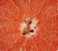 Close up of a halved pink grapefruit, showcasing its juicy segments, white pith, and textured surface. photo