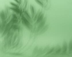 Soft, blurred shadows of palm leaves are cast across a solid light green background photo