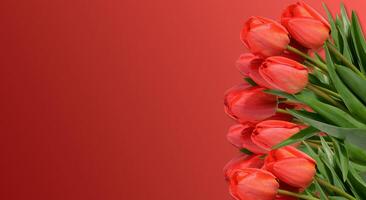 Bouquet of several vibrant red tulip flowers with green stems and leaves, red background. Copy space photo
