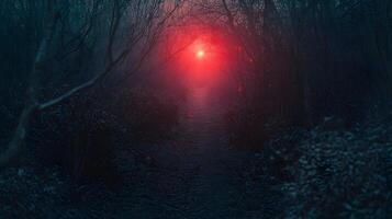 Dark forest path illuminated by a mysterious red light in the distance, creating an eerie and otherworldly atmosphere. photo