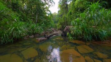 Smooth FPV drone flight over shallow tropical river with rocks in lush green jungle in Thailand video