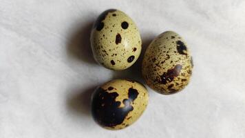 three quail eggs with spots on them photo
