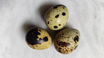 fresh quail eggs, showcasing their delicate size and unique speckled patterns. photo