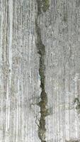 Rough Cracked Cement Surface Showing Detailed Texture and Natural Patterns photo