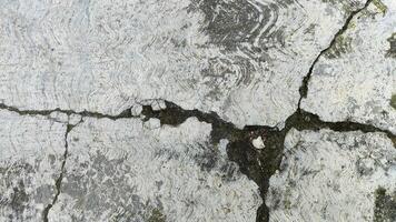 a crack in the surface of a tree photo