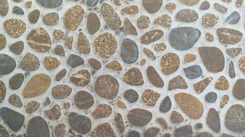 Close-Up of Coral Patterned Ceramic Surface with Intricate Textures and Natural-Inspired Design photo