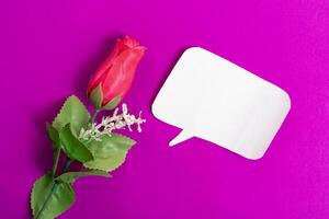 Artificial red rose with blank speech bubble on vibrant pink background. photo