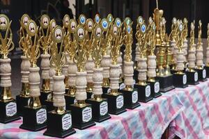 Trophies displayed for student contest awards during school celebration event with prize showcase photo