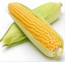 Macro Shot of Corn Kernels and Husk Texture photo