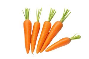A Single Carrot, A Thousand Words photo
