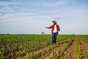 A proud, smiling black male farmer standing in the middle of cornfield and showing progress of his crops. photo