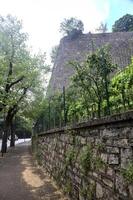 Pavement bordered by trees and a fortification on a sunny day photo