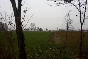 Country house and a forest in the distance framed by trees on a cloudy day photo
