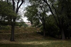 Embankments in a park with a stone staircase at their bottom photo