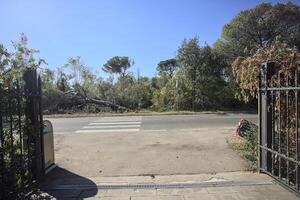 Opened gate on a crossing by the edge of a road on a sunny day photo