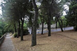 Path and staircase in a park next to a paved road photo