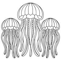 coloring page for adults, jellyfish with vector