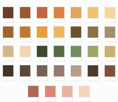 Colour Swatches 32 True Colors of Fall or Autumn - 3d Light Soft, Muted, Pastel Tones - with HEX Codes and Names, Color Palette, Scheme, Chart and Combinations vector