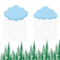 Rain over a Forest of Evergreen Trees vector