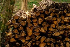 View of firewood stacked on top of each other near the back door of a house photo