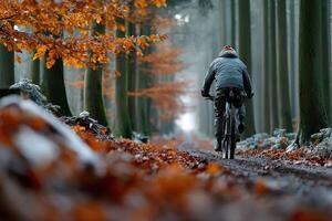 Bicyclist rides through a peaceful forest trail surrounded by autumn leaves in the morning light photo
