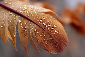 Close-up of a feather covered in droplets of water resting on a blurred background photo