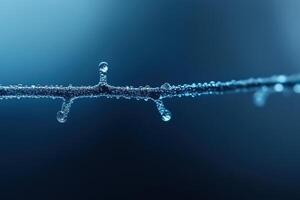 Dew drops glisten on a thin twig in soft morning light near a tranquil setting photo