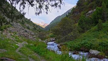 Handheld static view of a mountain valley with a winding stream, green hills, and scattered trees. Overcast sky, rocky terrain, no movement, natural setting. video