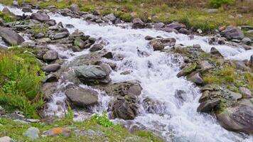 handheld real-time frame captures a mountain river flowing swiftly over smooth rocks and boulders in a natural landscape with green grass and plants. video