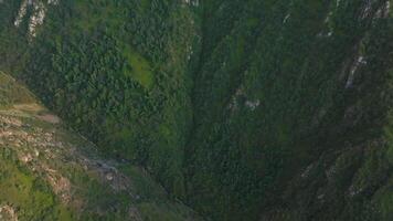 Aerial perspective of a dense green valley with a narrow stream flowing through rocky cliffs and thick forest. The camera moves downward and slightly forward, capturing the natural landscape. video