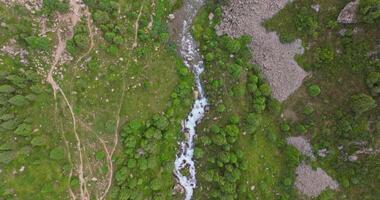 Aerial real-time view of a river flowing through a green forest, captured by a drone moving along forward with a downward camera. Rocky banks and winding trails frame the lush landscape. video
