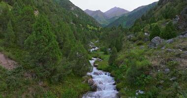låg Drönare skott av en klar ström strömmande genom en frodig dal, flankerad förbi tät träd och klippig backar, med avlägsen bergen under en molnig himmel. realtid fånga. video