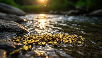 Gold nuggets on wet river rocks sparkling reflections and serene natural environment photo