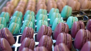 Colorful macarons displayed in bakery showcase entice dessert lovers video