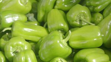 Fresh green bell peppers at a local market in summer video