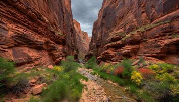 Eastern End Telegraph Canyon