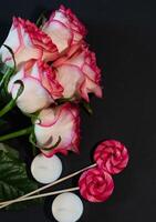 A minimalist composition shows several bicolor roses, with a focus on their delicate petals and the texture of the arrangement. photo