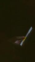 Person using phone in a dimly lit environment at night video