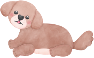 Shih Tzu Dog turns around and smiles Cartoon Set in watercolor style with Different Poses png