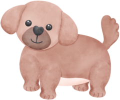 Shih Tzu Dog standing Cartoon Set in watercolor style with Different Poses and Expressions png