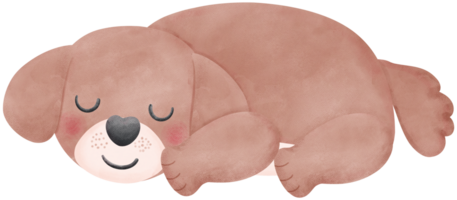 Shih Tzu Dog sleeping Cartoon Set in watercolor style with Different Poses and Expressions png