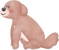 Shih Tzu Dog smiling Cartoon Set in watercolor style with Different Poses and Expressions png