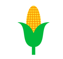 Corn Cob Illustration. Maize, Healthy Grain Simple and vibrant illustration of a corn cob with green husks. Transparent background. png