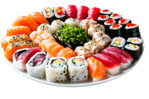 Sushi medley a colorful platter showcasing salmon, tuna, and various maki rolls arranged artfully on a plate png